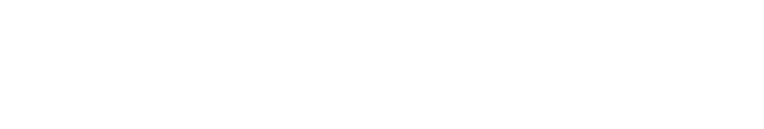 WE Logo Horizontal